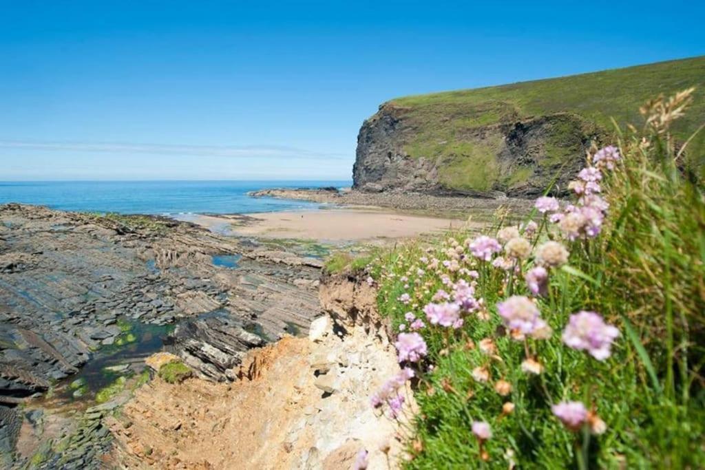 Kallowen Cottage At Crackington Haven, Near Bude And Boscastle, Cornwall Екстериор снимка